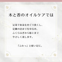 画像242