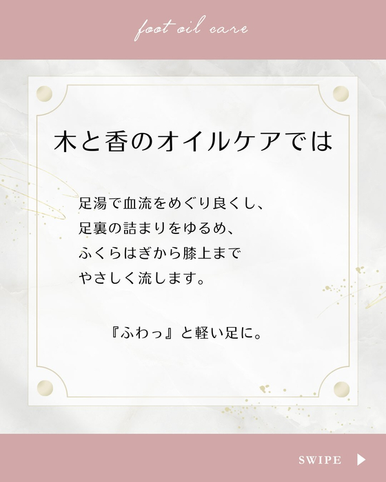画像242