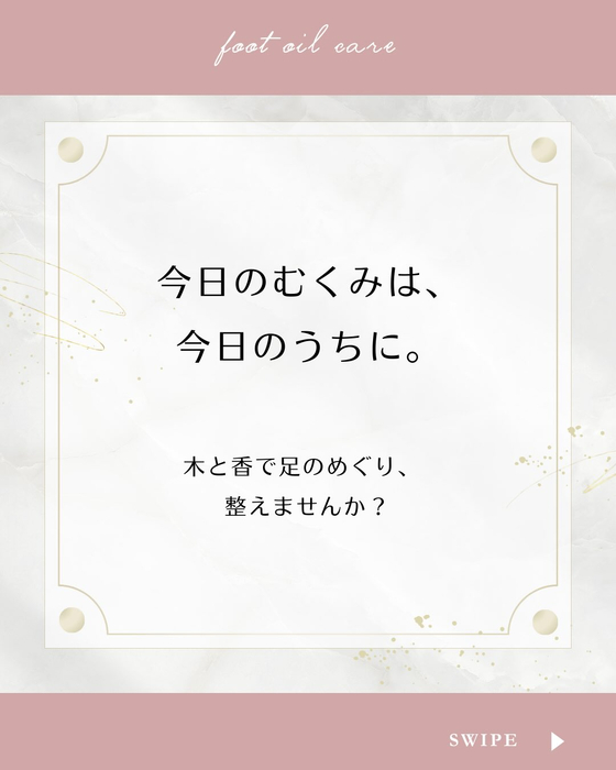画像243