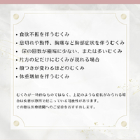 画像244