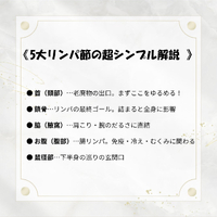 画像247