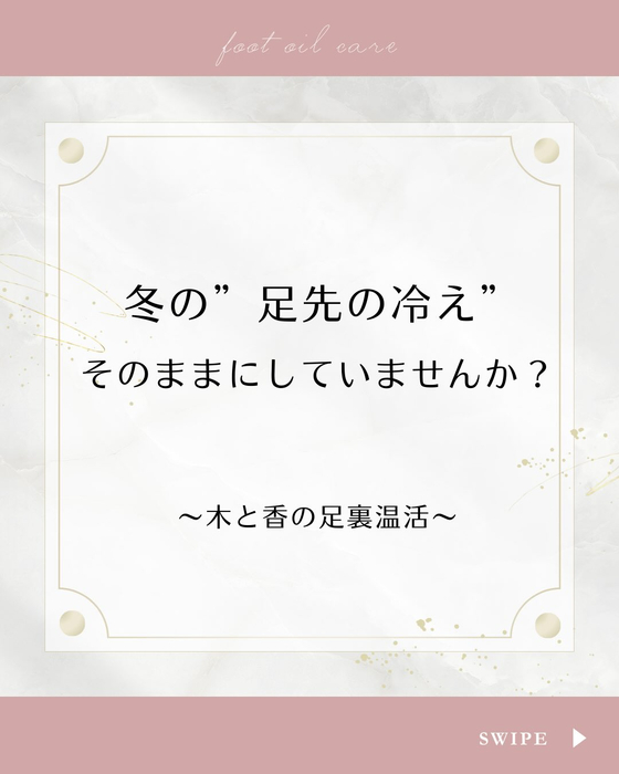 画像256
