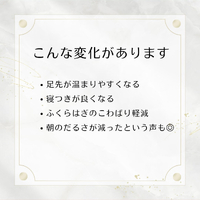 画像259