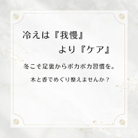 画像260