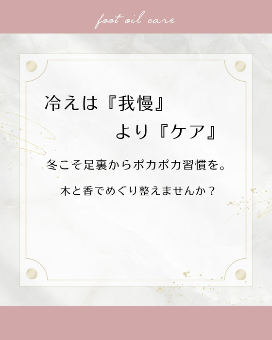 画像260