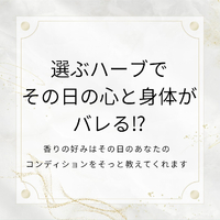 画像273