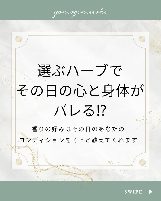 画像273