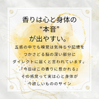 画像274
