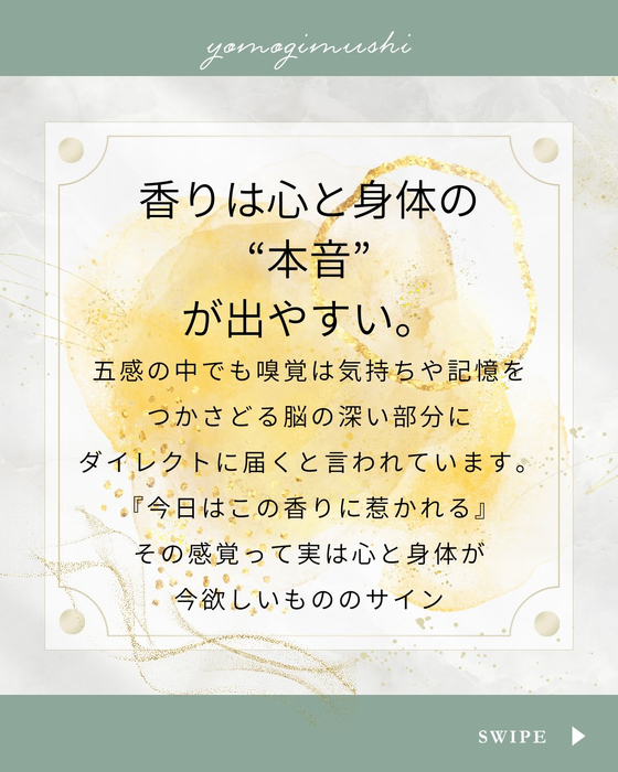 画像274