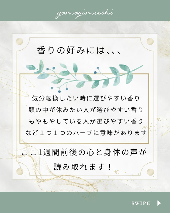 画像276