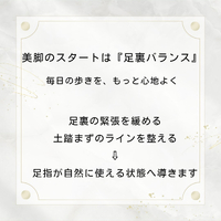 画像283