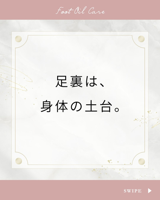 画像495