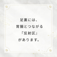 画像513