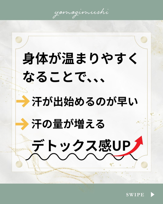 画像529