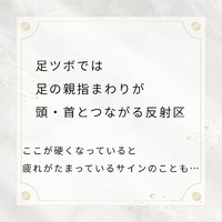 画像537